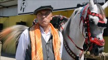 30 yıllık uzun yol şoförü trafikte yaşadığı stresi atlarla üzerinden atıyor