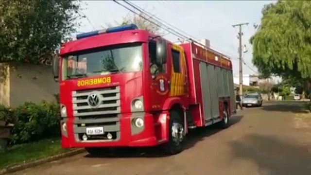 Captura de ouriço leva Corpo de Bombeiros ao Bairro Tropical