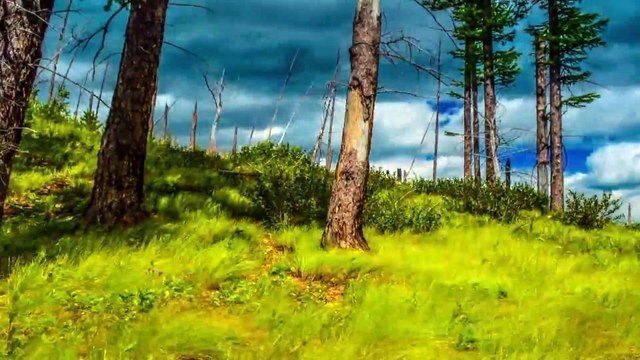 Properties of natural secrets || Amazing nature ||