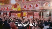 Farhan Ali Waris - Azadari Na Chorenge - 2020 - 1442