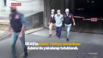 DEAŞ'ın sözde Türkiye sorumlusu yakalandı