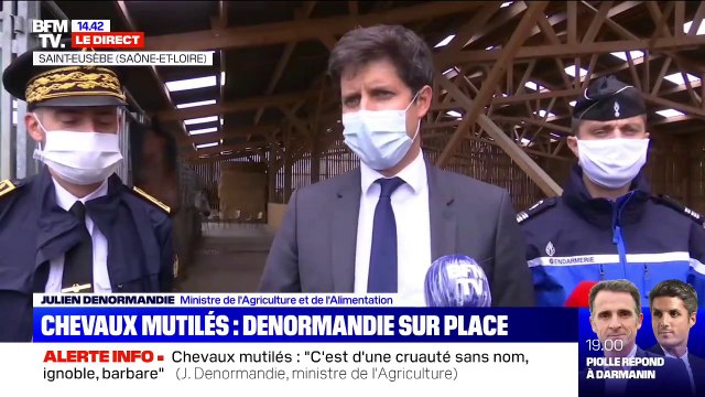Julien Denormandie sur les chevaux mutilés: Justice sera faite