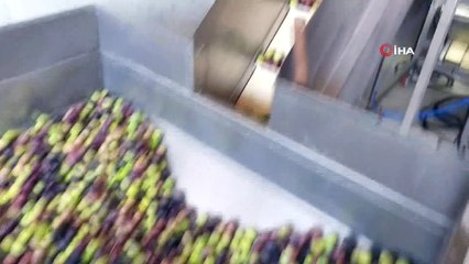 Yerli yazılım ile üretilen 'Zeytin renk ayırma makineleri' yurt dışına ihraç ediliyor