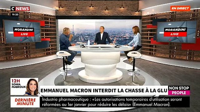 EXCLU - Allain Bougrain-Dubourg: « Je vais aller devant le Conseil d’Etat pour faire suspendre un arrêté sur la chasse à la tourterelle des bois » - VIDEO