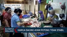 Harga Daging Ayam Potong di Pasar Tidak Stabil