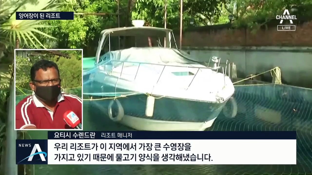 ‘위기를 기회로’…수영장을 양어장으로 바꾼 리조트