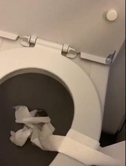 Girl's Plan to Flush Entire Toilet Paper Roll in Airplane Toilet Goes Wrong