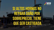 Si Altos Hornos no repara daño por sobreprecio, tiene que ser castigada