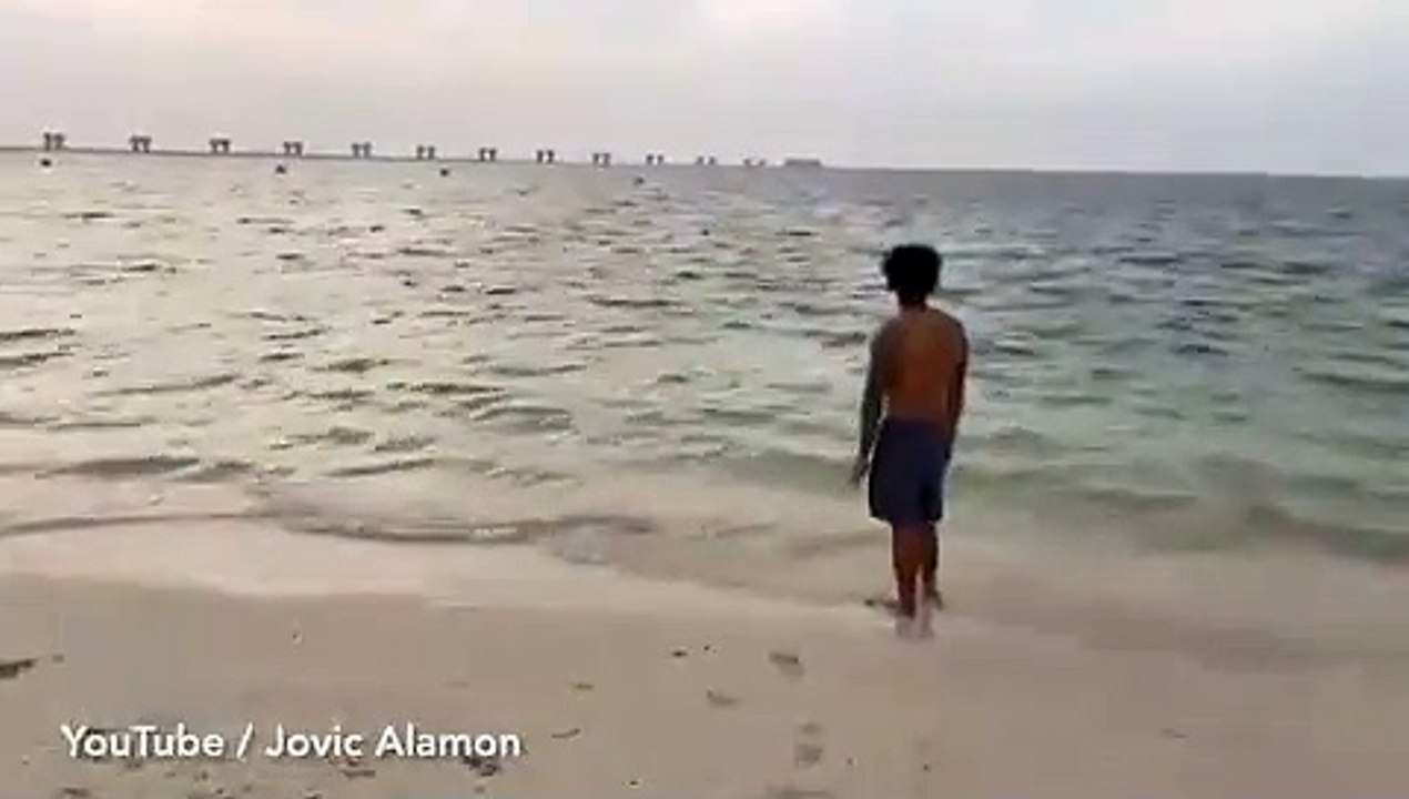 UFO sighting: Hunters claim to spot '747-sized' alien craft over Dubai