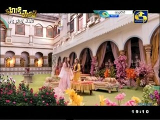 Aladin (242) - 28-08-2020