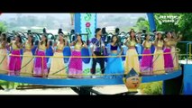 #Video - जवानी के शहद | Dinesh Lal Yadav | Amrapali Dubey | Jawani Ke Shahad | Romeo Raja | Hit Song
