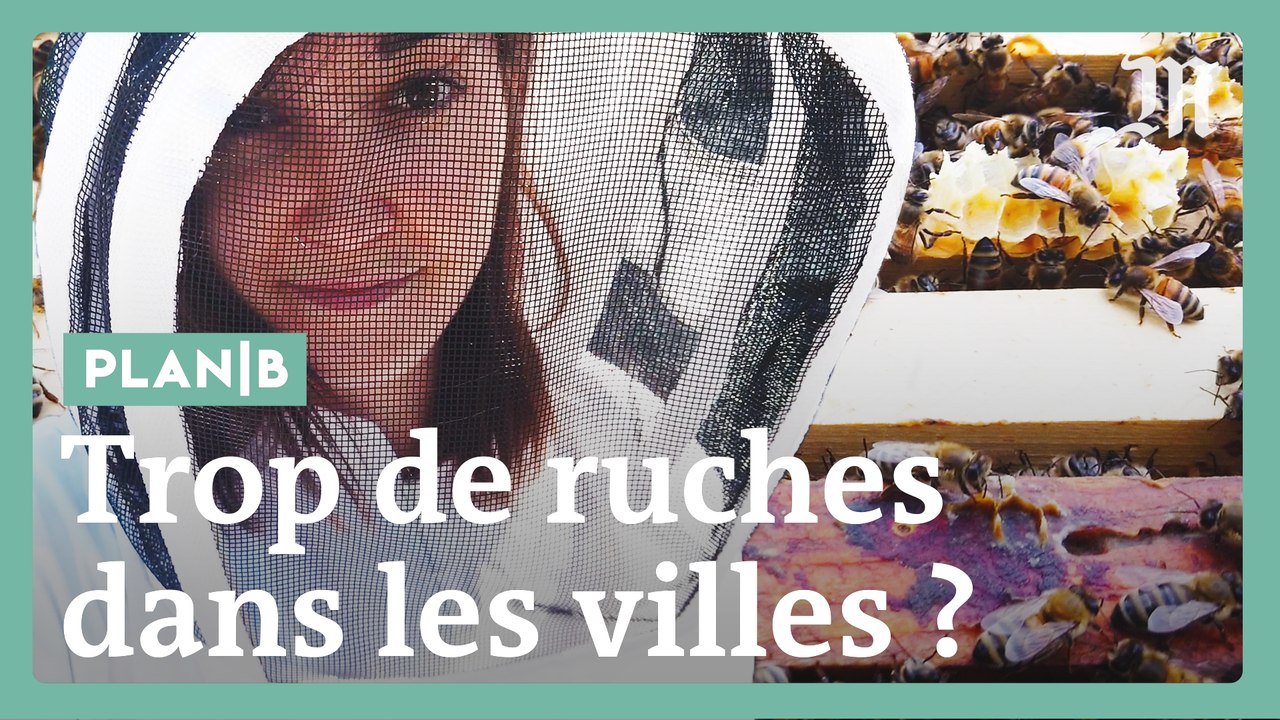 Comment la mode des ruches en ville peut se retourner contre les abeilles