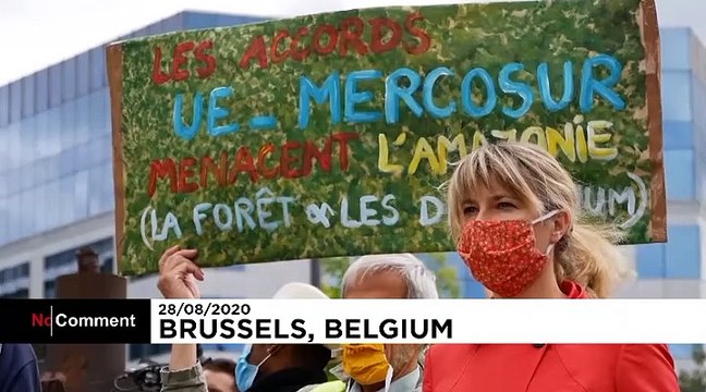 Rassemblement à Bruxelles pour protester contre la destruction de la forêt amazonienne