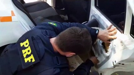 PRF apreende mais de 50 quilos de maconha dentro de táxi em Alto Paraíso