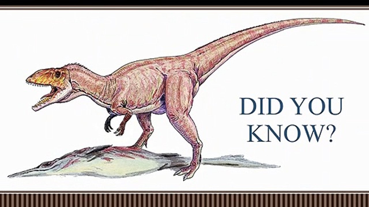 A duck-billed dinosaur lived in Japan.