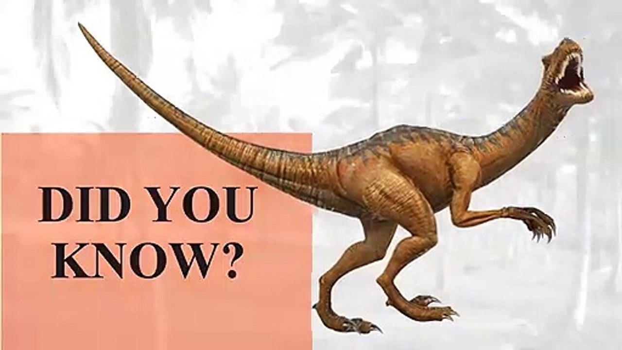 A duck-billed dinosaur lived in Japan.