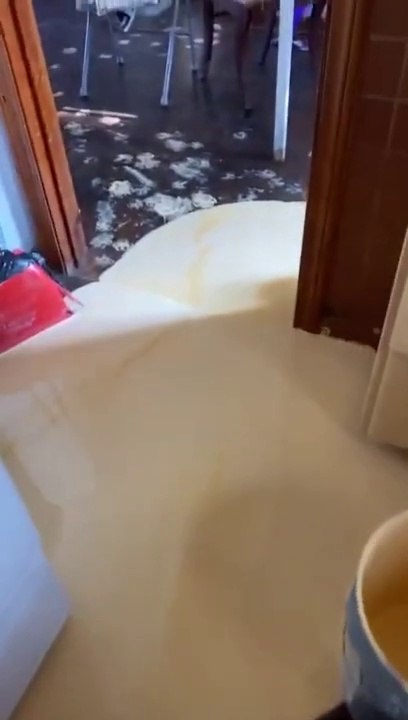 Ne jamais laisser un chiot avec des pots de peintures dans la salon