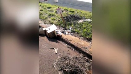 Maradores reclamam de acúmulo de mato e entulhos em lote no Alto Alegre