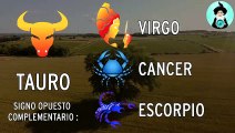 SIGNOS DEL ZODIACO COMPATIBLES EN EL AMOR