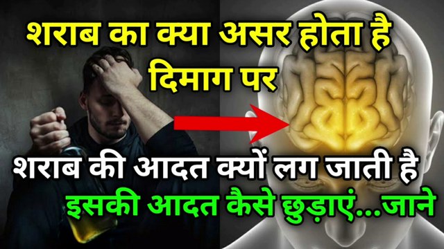 शराब से नशा क्यों होता है | intoxication | alcohol | नशा | शराब | the science news hindi