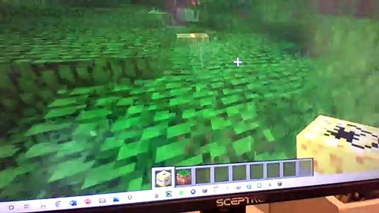 TNT PART 2!!!!!!!!!!