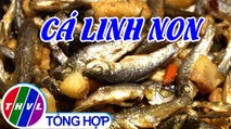 Tinh hoa bếp Việt: Cá linh non | Món ngon miền sông nước - Tập 27