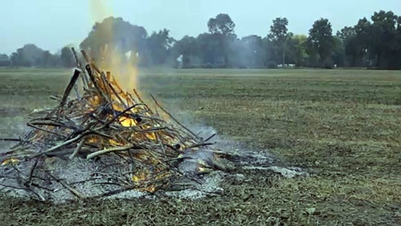 Freistaat Mittelpunkt Film - Dokumentation