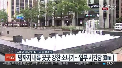 [날씨] 무더위 속 요란한 소나기…태풍 '마이삭' 북상