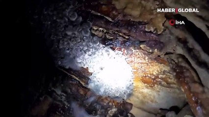 Bursalı dağcılar mağaraya girdiklerinde gözlerine inanamadı