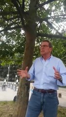 Milano. Intervento del Dottor Luigi_Gelmi........_vi_controlleranno'.