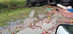शाजापुर में दो ट्रकों में भीषण टक्कर, केबिन से उछलकर बाहर आ गिरे ट्रक सवार, 3 की मौत 2 घायल,
