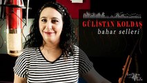 Gülistan Koldaş ft. Kutsal Evcimen - Bahar Selleri (Official Audio)