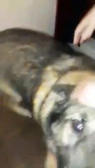 The moment Rico was reunited with his family