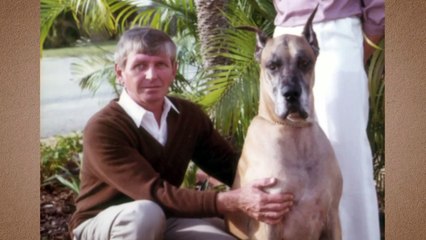 A Time to Kill E11 A Chemical Solution