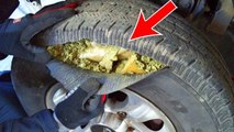 10 Craziest Ways Drug Dealers Smuggle Drugs