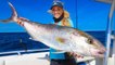 GIANT Amberjack Contaminated with Worms_ (Catch Clean Cook) Grilled Fish Steaks!