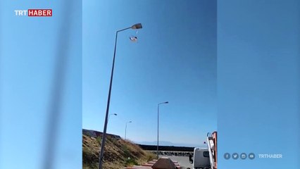 Ayağına maske takılan martı, direkte asılı kaldı