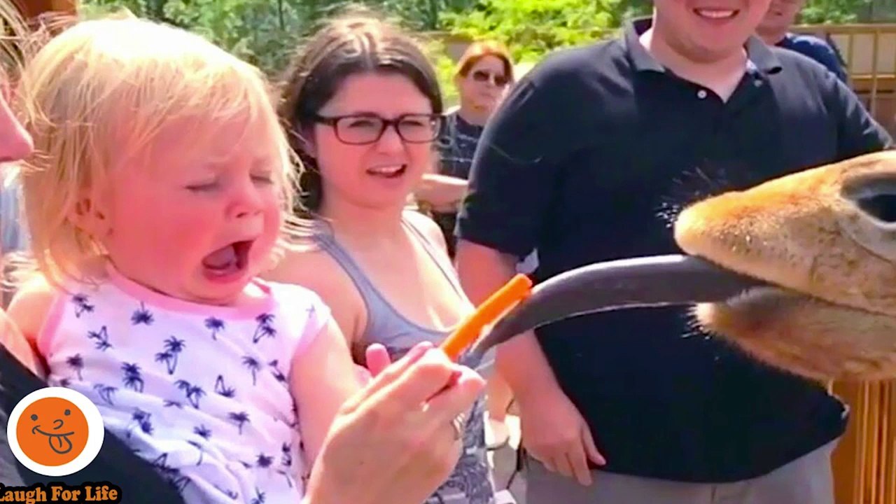 Funny Animals Trolling Babies And Kids