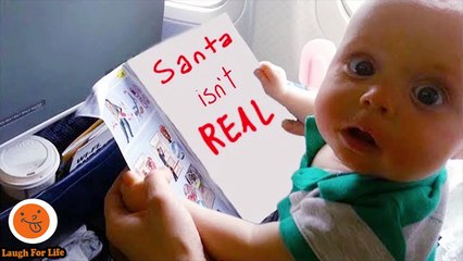 Babies Try To Read Book And Talk Harrowing Funny Babies And Pets