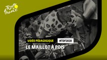 #TDF2020 Le Maillot à Pois en détail