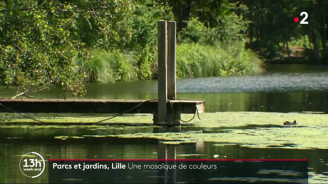 Lille : une visite au Mosaïc, le "jardin qui raconte des histoires"