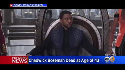 'Black Panther' Star Chadwick Boseman Dies Of Cancer
