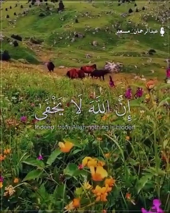 ان الله❤️ __ القران الكريم - عبدالرحمن مسعد حالات واتس _ تلاوات خاشعة جدا -حالات واتس عبدالرحمن مسعد(480P)_1