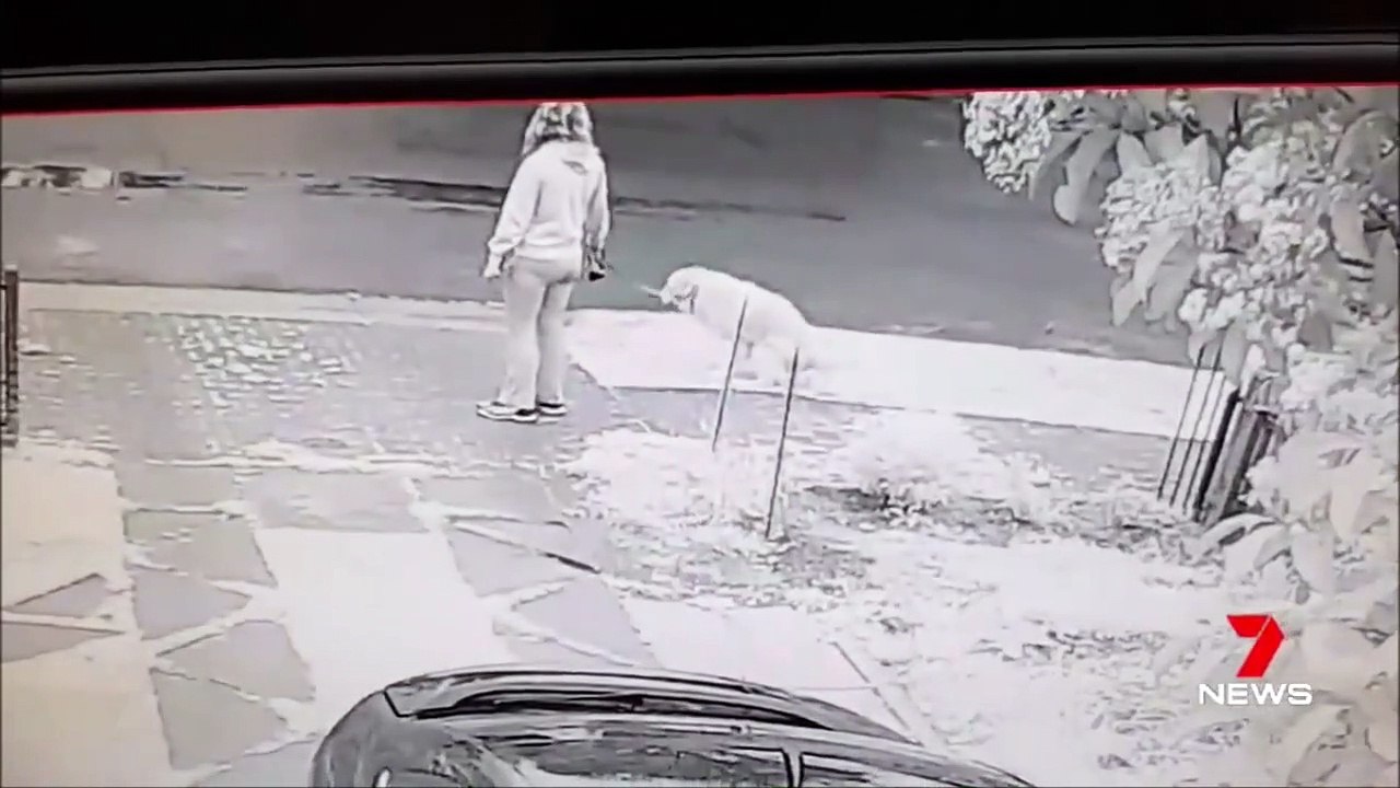 Il trouve une façon incroyable pour se venger d'une femme et son chien