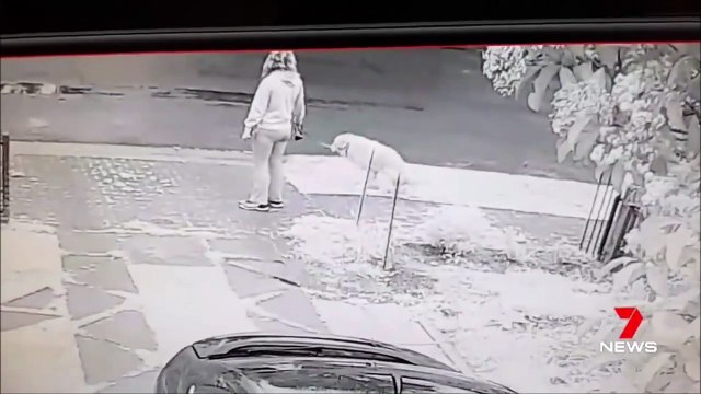 Il trouve une façon incroyable pour se venger d'une femme et son chien