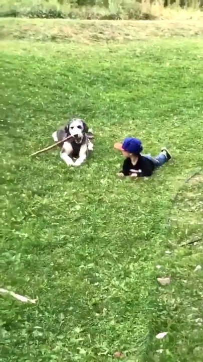 Cet enfant n'a pas compris le principe du jeu "va chercher" avec son chien