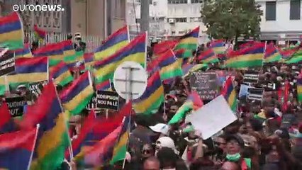 Tote Delfine im Urlaubsparadies: Demonstrationen in Mauritius