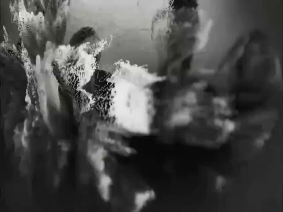 AEW Samstags-Stampede