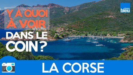 Y a quoi à voir dans le coin... en Corse !