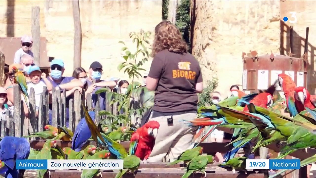 Animaux : le Bioparc de Doué-la-Fontaine, un zoo nouvelle génération